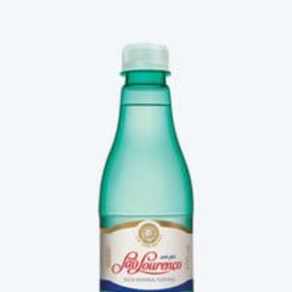 300ml sem gás São Lourenço