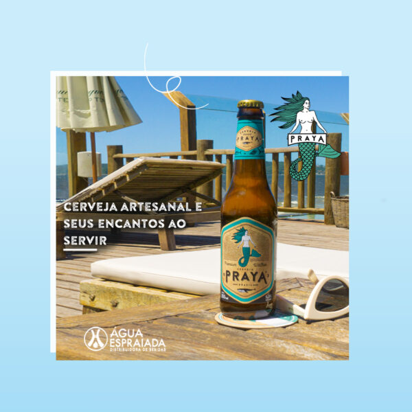 Cerveja Artesanal Praya long neck 355ml