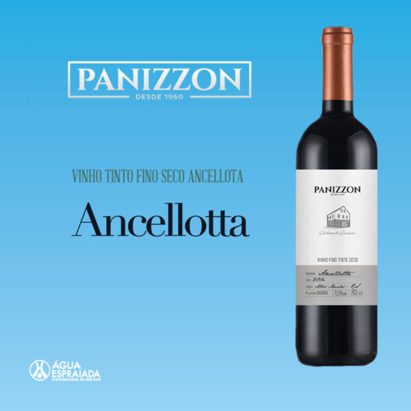 Ancellota Panizzon