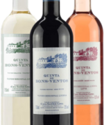 Vinho Quinta de Bons-Ventos